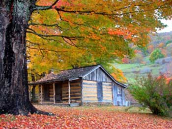 Homesteading in the Kootenays Image